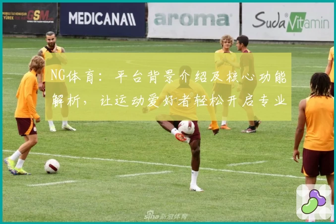 NG体育：平台背景介绍及核心功能解析，让运动爱好者轻松开启专业化体验